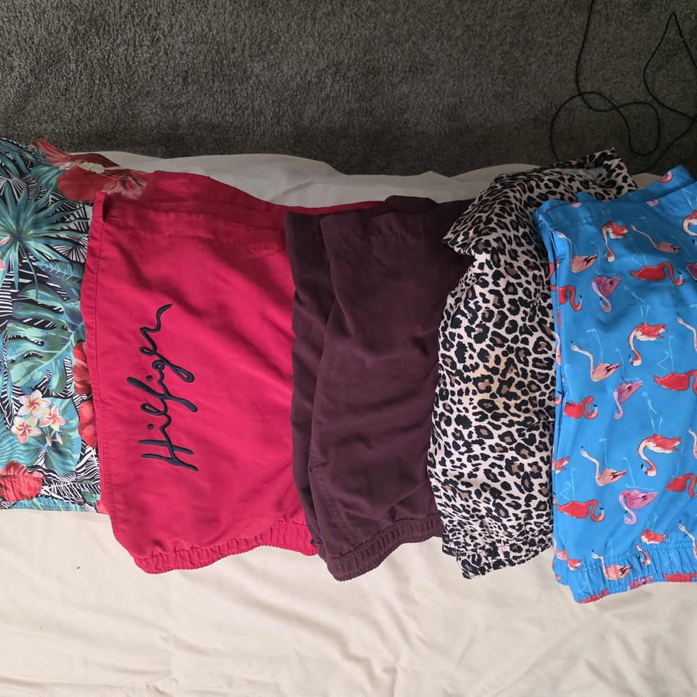 Multiple Pairs - Men's Swim Trunks - Red, Purple, Leopard, Blue Flamingo